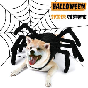 Halloween Spider Costume for Dogs & Cats