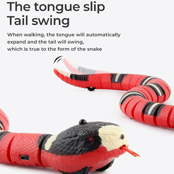 Funny Snake Toy
